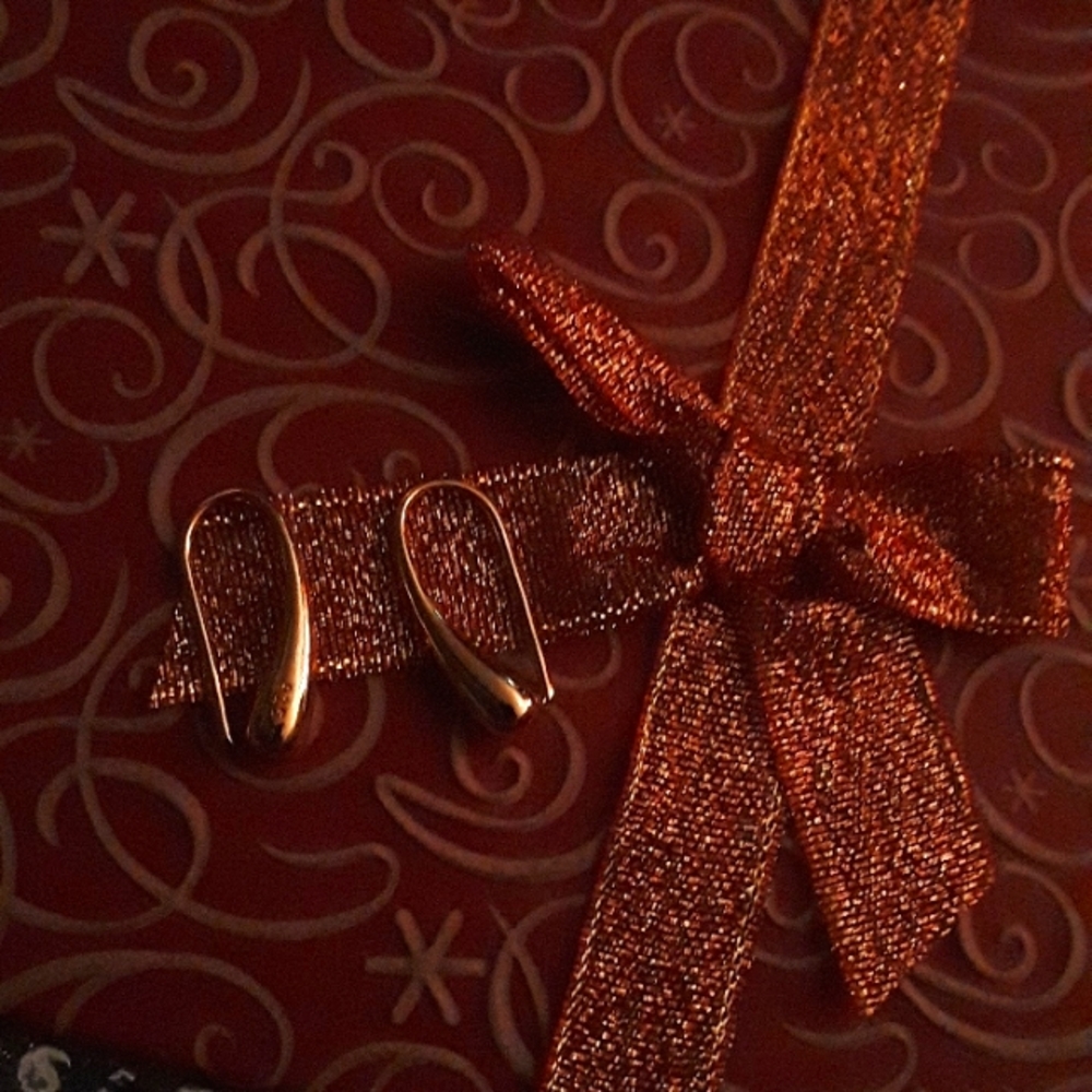 Gold Hook Earrings (Fashion Jewelry)
